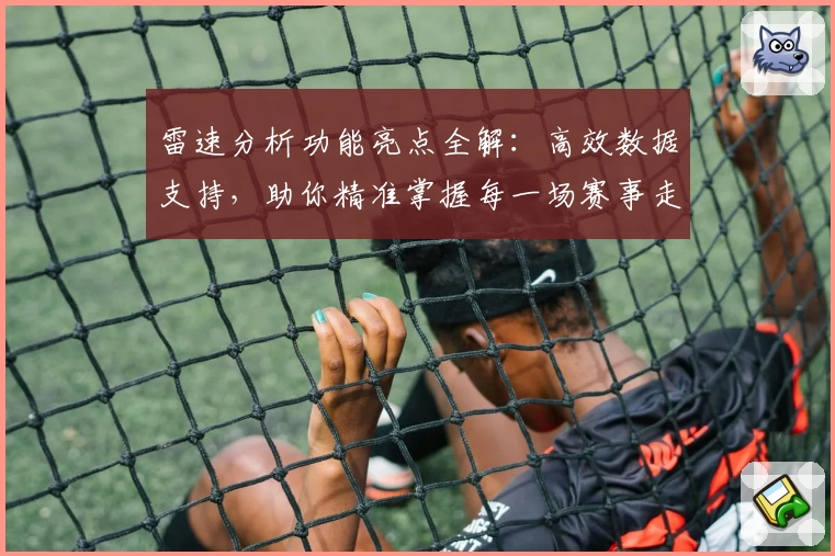 雷速分析功能亮点全解：高效数据支持，助你精准掌握每一场赛事走势