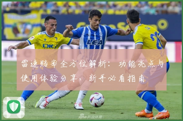 雷速赔率全方位解析：功能亮点与使用体验分享，新手必看指南