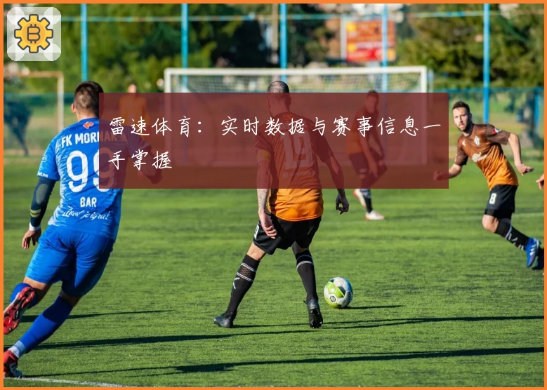 雷速体育：实时数据与赛事信息一手掌握