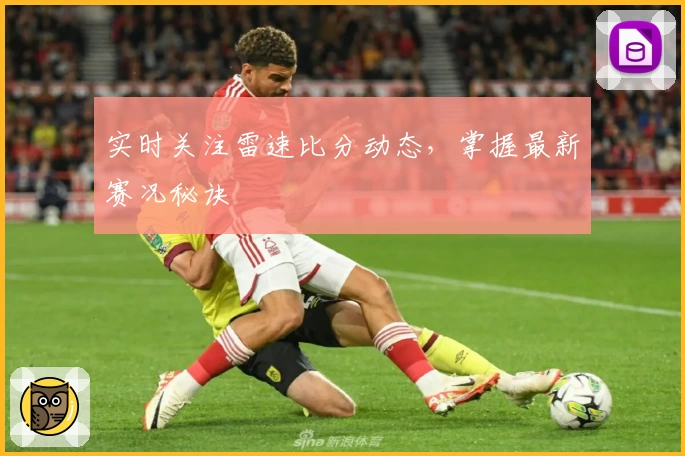 实时关注雷速比分动态,掌握最新赛况秘诀