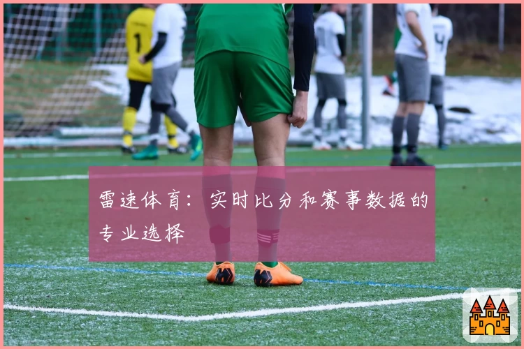 雷速体育：实时比分和赛事数据的专业选择